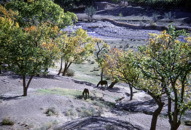 Afghan-Road-019