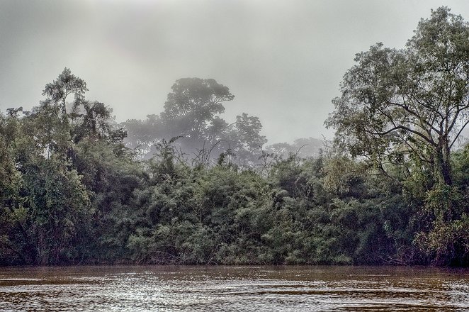 chiap_Yaxchilán_011