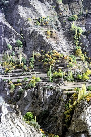 Hunza-011