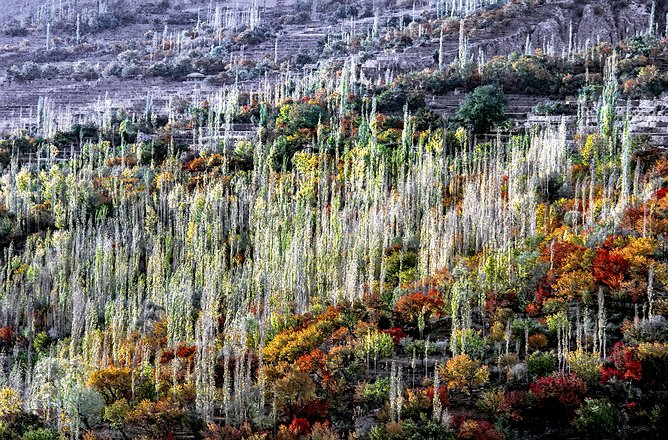 Hunza-015