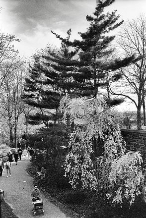 EAST-NYC-Life-Park-01