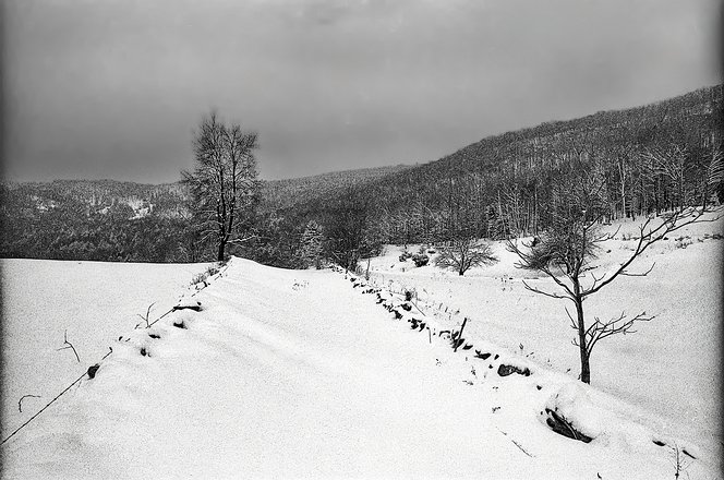 EAST-NewEngland-Vermont-18