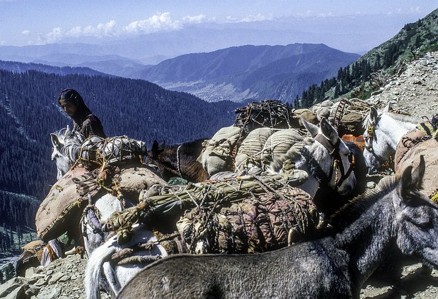 Kash-Himal-BT-016 WW - GUJARS ON THE MARGAN