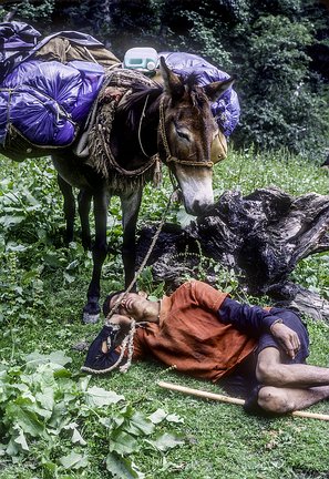 Kash-Himal-GT-017 GT - PONY WALA NAPS VERT