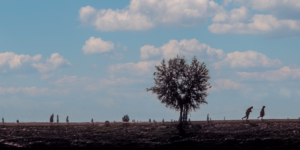 Kash-Vale-Country-Farm-002