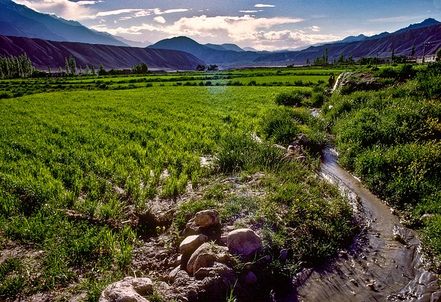 Lad-Alchi0019 Ladakh, Alchi