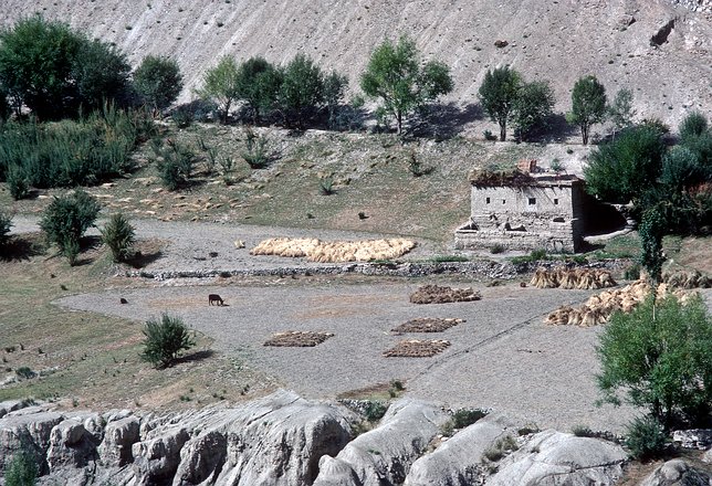 Lad-Indus0017 Ladakh,before Khalsi