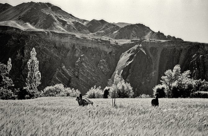 Lad-Indus0018 Ladakh