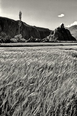 Lad-Indus0019 Ladakh