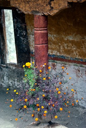 Lad-Lamaruyu0020 Ladakh,Lamayuru