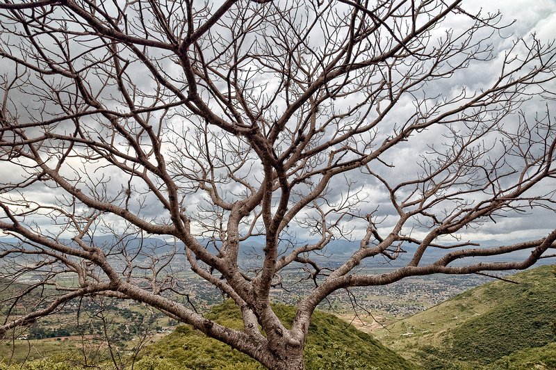 Oax-country-MonteAlban0001