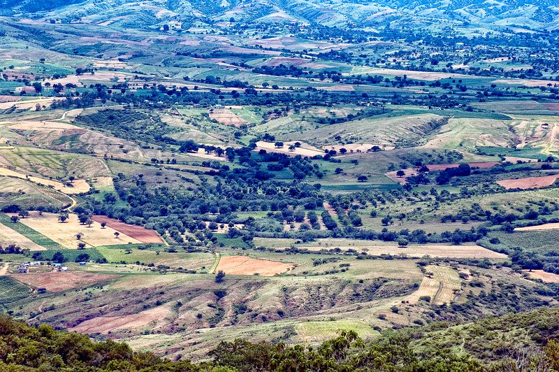 Oax-country-MonteAlban0004