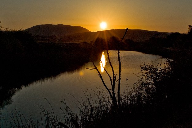 Tomales Bay