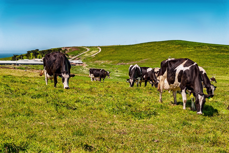 Farm_016