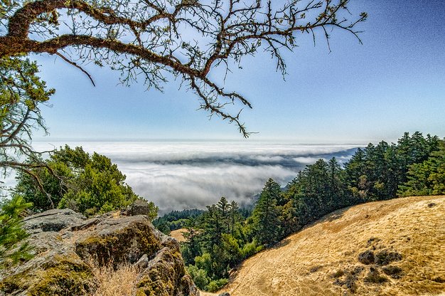 Mount Tamalpais