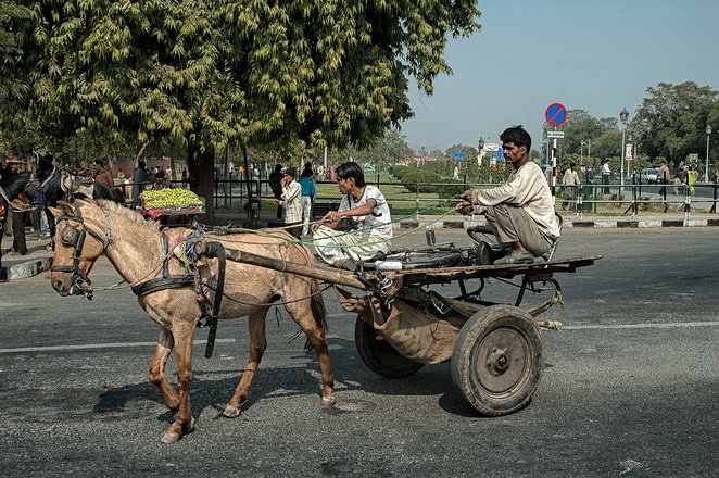 Raj-Jaipur_0012