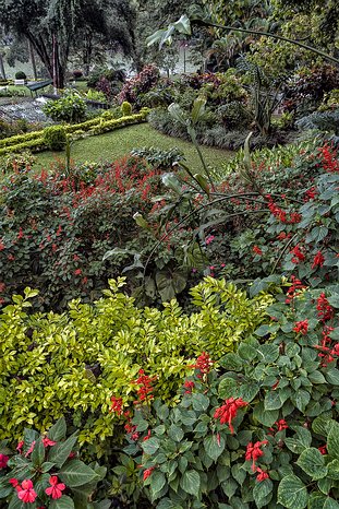 SL_Kandy_garden_002