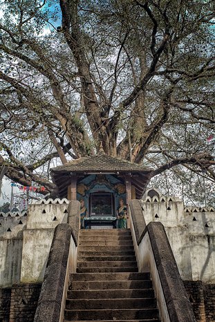 SL_Kandy_temple_014