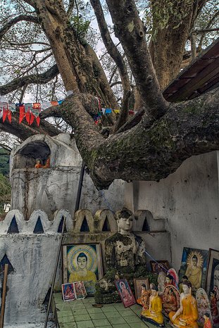 SL_Kandy_temple_019