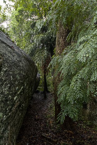 SL_Triangle_Aluvihara_006