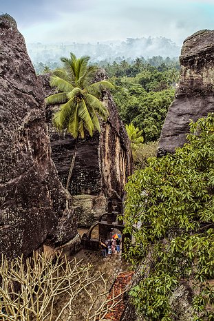 SL_Triangle_Aluvihara_015