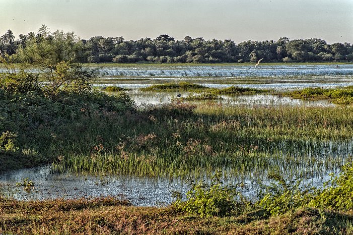 SL_Triangle_Anuradhapura_016