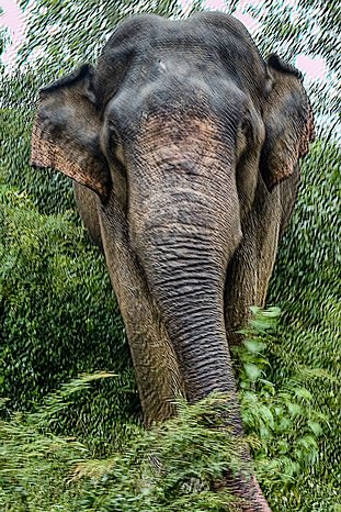 SL_Triangle_Polonnaruwa_002