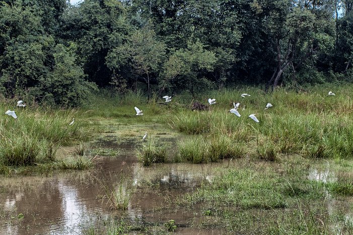 SL_Triangle_Polonnaruwa_004