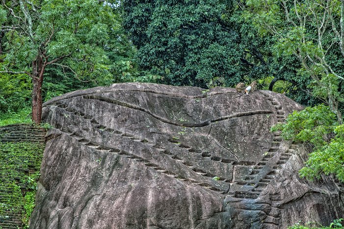 SL_Triangle_Sigiriya_017