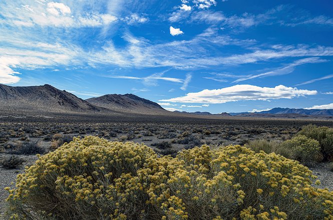 West-Desert-Mojave-015